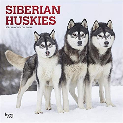 ダウンロード  Siberian Huskies 2021 Calendar: Foil Stamped Cover 本