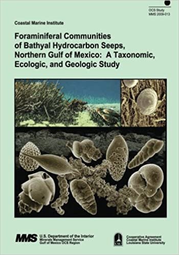Foraminiferal Communities of Bathyal Hydrocarbon Seeps, Northern Gulf of Mexico: A Taxonomic, Ecologic, and Geologic Study indir