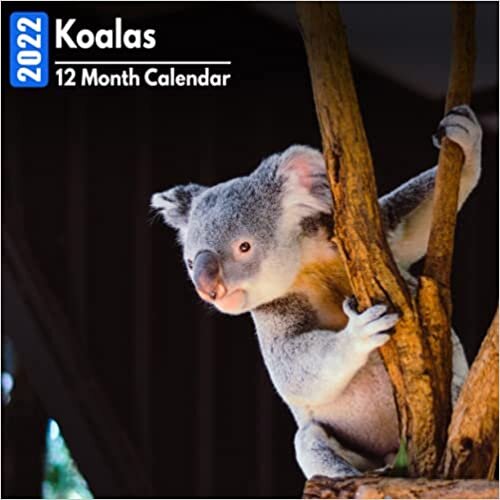 indir Calendar 2022 Koalas: Cute Koala Photos Mini Calendar a Monthly Square Book Planner With Inspirational Quotes each Month