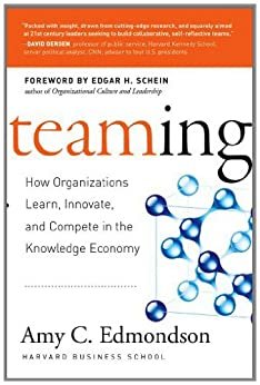 Teaming: How Organizations Learn, Innovate, and Compete in the Knowledge Economy (English Edition)