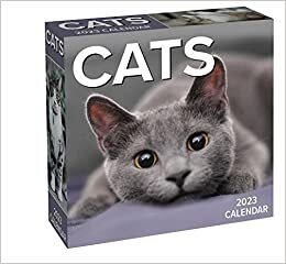 Cats 2023 Day-to-Day Calendar