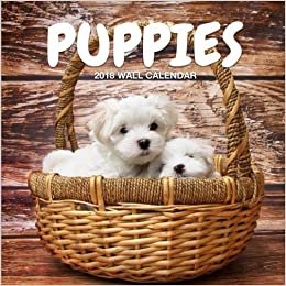 تحميل Puppies 2018 Wall Calendar: Puppies Photography, 8.5 x 8.5, Mini Calendar, Wall Calendar (Cute Calendar) (Animal Calendars)