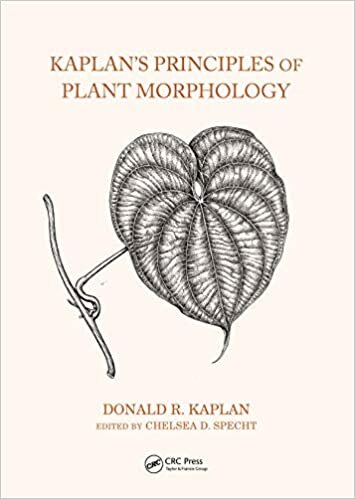 ダウンロード  Kaplan's Principles of Plant Morphology 本