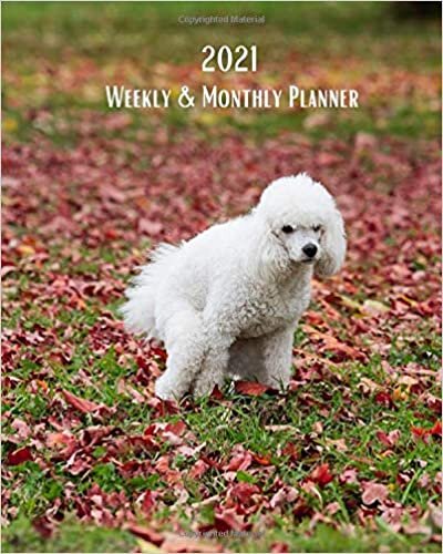 2021 Weekly and Monthly Planner: White Poodle Pooping Fall day - Monthly Calendar with U.S./UK/ Canadian/Christian/Jewish/Muslim Holidays– Calendar in Review/Notes 8 x 10 in.- Dogs Animal Nature indir