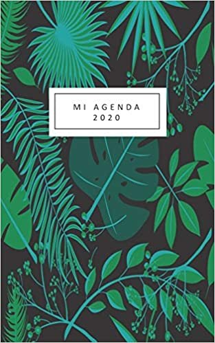 mi agenda 2020: ideal agenda 2020, desde 1 de enero al 31 de diciembre para estar organizada es un regalo ideal para hacer.tamaño 6 in x 9 in( en español)