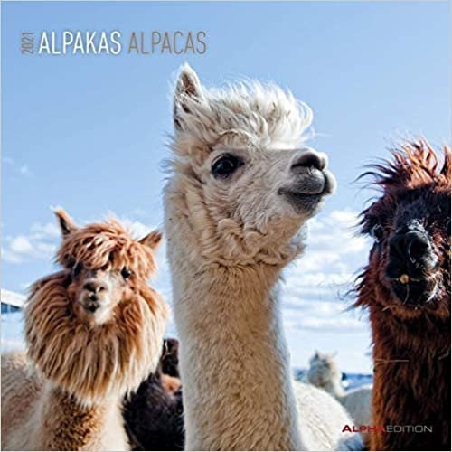 Alpakas 2021 - Broschürenkalender 30x30: Alpacas - Bild-Kalender - Wandplaner mit Platz für Notizen indir