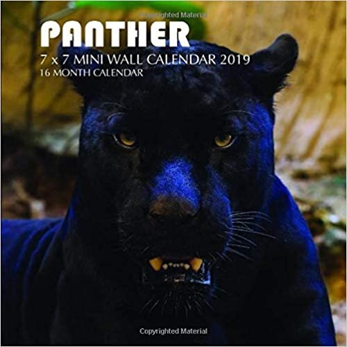 Panther 7 x 7 Mini Wall Calendar 2019: 16 Month Calendar indir