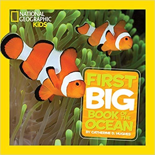 تحميل ناشونال جيوغرافيك للأطفال الصغار مطبوع عليه عبارة Big كتاب الأولى من كتب Ocean (الأطفال الصغار ناشونال جيوغرافيك أول ً ا كبير ً ا)