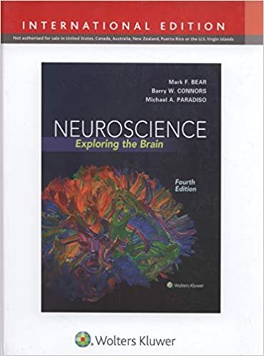 indir Neuroscience: Exploring the Brain (International Edition)