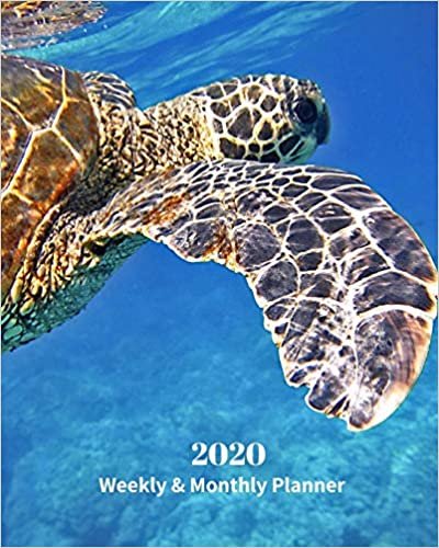 2020 Weekly and Monthly Planner: Sea Turtle - Monthly Calendar with U.S./UK/ Canadian/Christian/Jewish/Muslim Holidays– Calendar in Review/Notes 8 x 10 in.-Tropical Marine Life indir