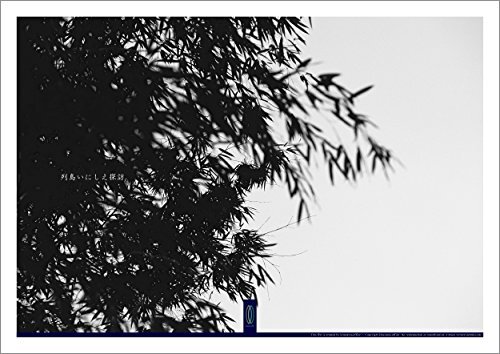 ダウンロード  嵯峨野 竹林 2 #026 : 写真ポスター Art Photography Posters / 列島いにしえ探訪 / 京都奈良 本