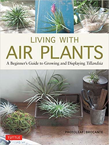اقرأ Living with Air Plants الكتاب الاليكتروني 