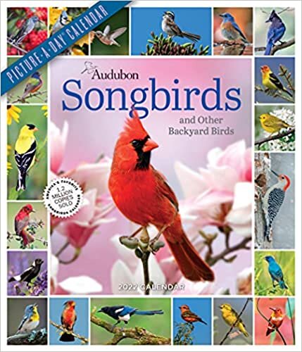 ダウンロード  2022 Audubon Songbirds and Other Backyard Birds 本