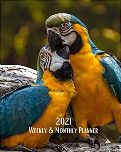 2021 Weekly and Monthly Planner: Love Parrots - Monthly Calendar with U.S./UK/ Canadian/Christian/Jewish/Muslim Holidays– Calendar in Review/Notes 8 ... Nature Animals For Work Business School indir