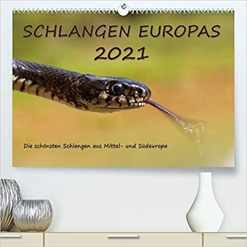 ダウンロード  Europaeische Schlangen (Premium, hochwertiger DIN A2 Wandkalender 2021, Kunstdruck in Hochglanz): Europaeische Schlangen (Monatskalender, 14 Seiten ) 本