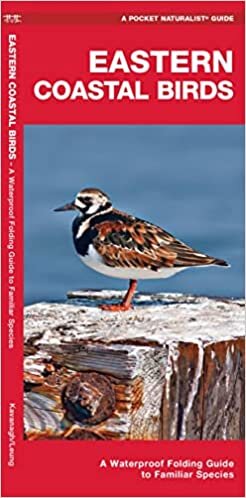 تحميل Eastern Coastal Birds: A Waterproof Folding Guide to Familiar Species