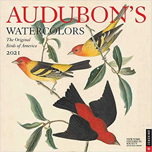 Audubon's Watercolors 2021 Wall Calendar: The Original Birds of America
