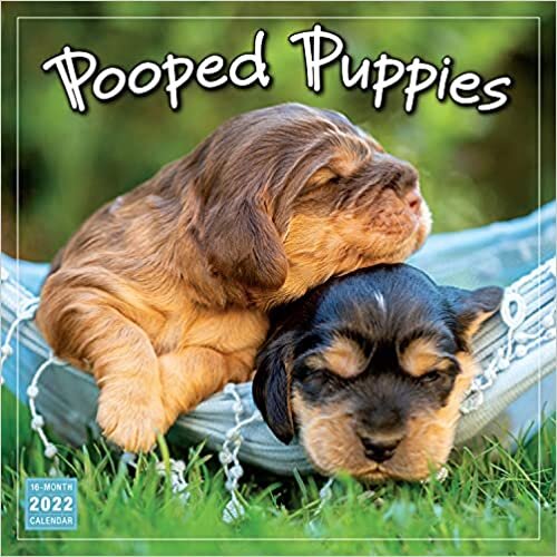 Pooped Puppies 2022 Calendar