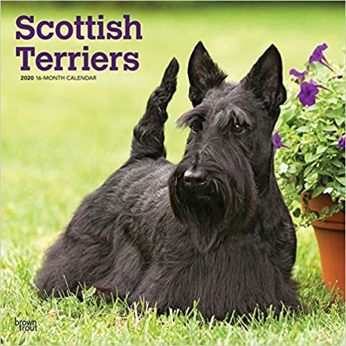 ダウンロード  Scottish Terriers 2020 Calendar 本
