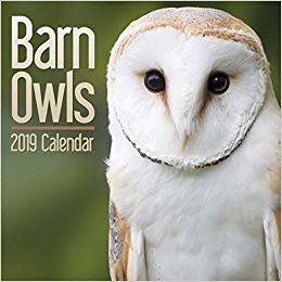 indir Barn Owls M 2019