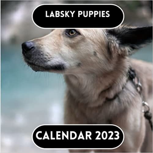 Labsky puppies Calendar 2023 ダウンロード