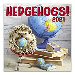 Hedgehogs 2021 Wall Calendar