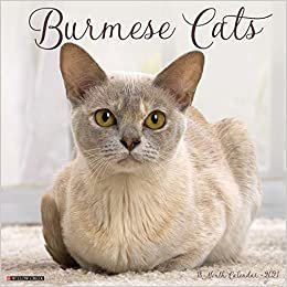 indir Burmese Cats 2021 Calendar