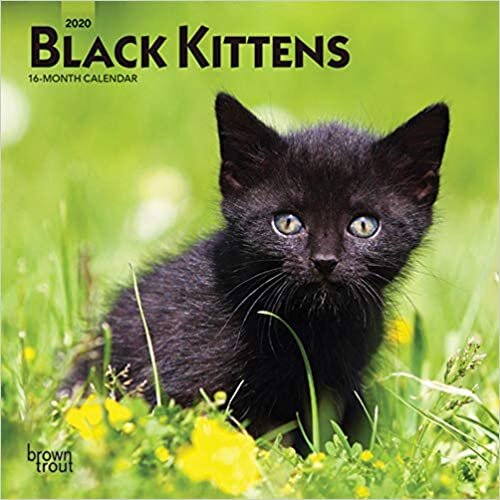ダウンロード  Black Kittens 2020 Calendar 本