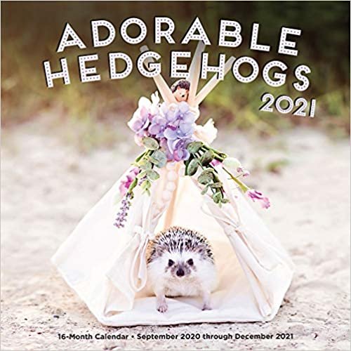 Adorable Hedgehogs 2021: 16-Month Calendar - September 2020 through December 2021 ダウンロード