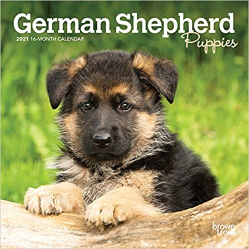 German Shepherd Puppies 2021 Calendar