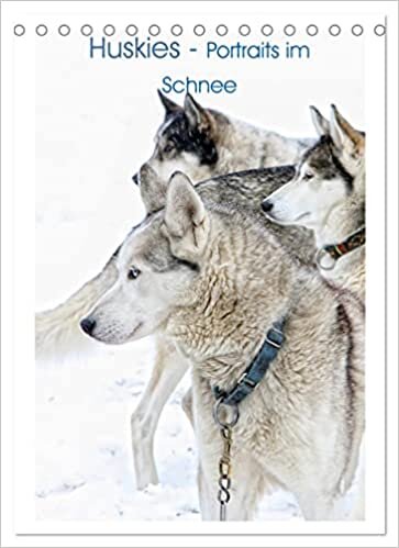 ダウンロード  Huskies - Portraits im Schnee (Tischkalender 2023 DIN A5 hoch): Portraits der Hunderasse Husky (Monatskalender, 14 Seiten ) 本