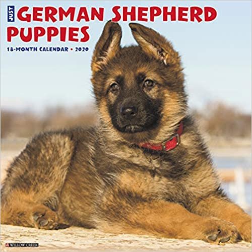 Just German Shepherd Puppies 2020 Calendar