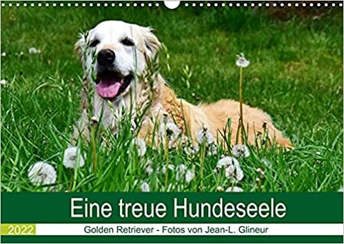 ダウンロード  Eine treue Hundeseele - Golden Retriever (Wandkalender 2022 DIN A3 quer): Der ideale Familienhund (Monatskalender, 14 Seiten ) 本