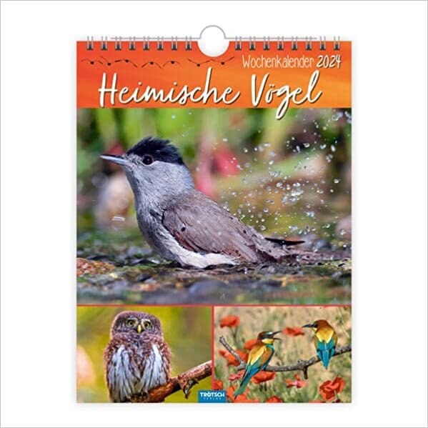 ダウンロード  Troetsch Wochenkalender zum Haengen Heimische Voegel 2024: Wandkalender 本
