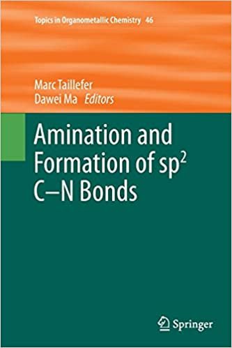 Amination and Formation of sp2 C-N Bonds (Topics in Organometallic Chemistry)