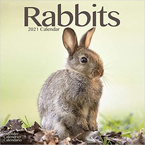 Rabbits 2021 Wall Calendar (Square)