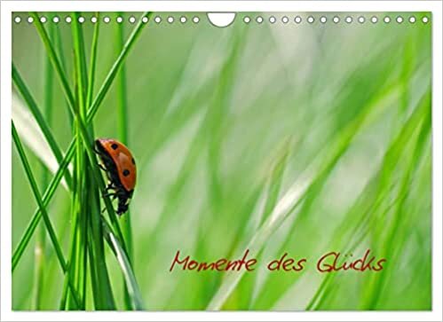 Momente des Gluecks (Wandkalender 2023 DIN A4 quer): Marienkaefer ein kleines Symbols des Gluecks in diesem Kalender illustriert und mit melodischen Texten unterlegt (Monatskalender, 14 Seiten )