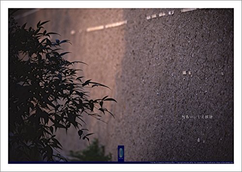 ダウンロード  仁和寺 2 #025 : 写真ポスター Art Photography Posters / 列島いにしえ探訪 / 京都奈良 本