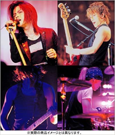 L'Arc-en-Ciel LIVE DOCUMENT PHOTOGRAPHS [SMILE TOUR 2004]