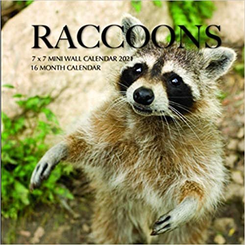 Raccoons 7 x 7 Mini Wall Calendar 2021: 16 Month Calendar indir