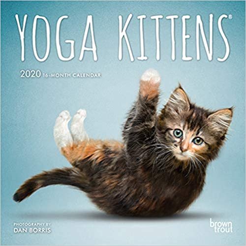 ダウンロード  Yoga Kittens 2020 Calendar 本