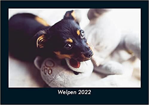 ダウンロード  Welpen 2022 Fotokalender DIN A5: Monatskalender mit Bild-Motiven von Haustieren, Bauernhof, wilden Tieren und Raubtieren 本