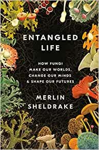 ダウンロード  Entangled Life: How Fungi Make Our Worlds, Change Our Minds & Shape Our Futures 本