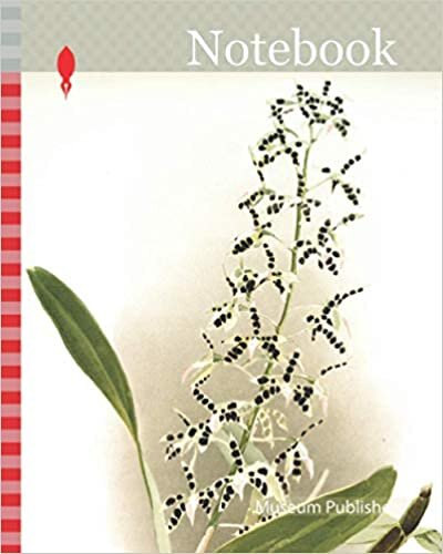 Notebook: Orchid, Epidendrum prismatocarpum, Sander, F. (Frederick), 1847-1920, Author, Moon, H. G, Artist, Leutzsch, Gustav, Lithographer indir