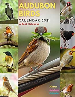 Audubon Birds Calendar 2021: Audubon Birds Book Calendar 2021, Audubon Birds Calendar, Audubon Birds of North America, Audubon Birds western Region, Audubon ... Audubon birds calendar (English Edition)