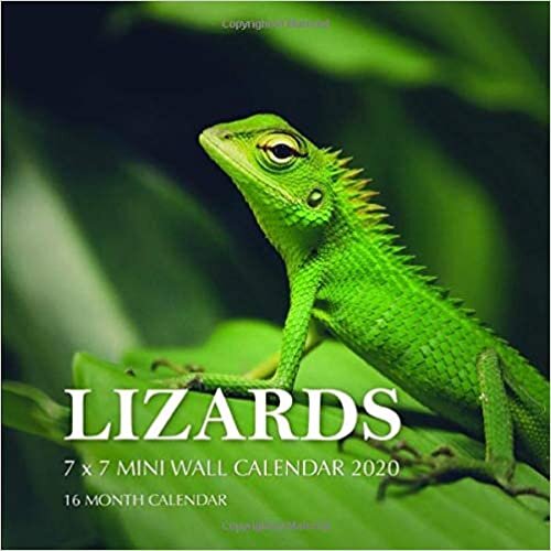Lizards 7 x 7 Mini Wall Calendar 2020: 16 Month Calendar indir