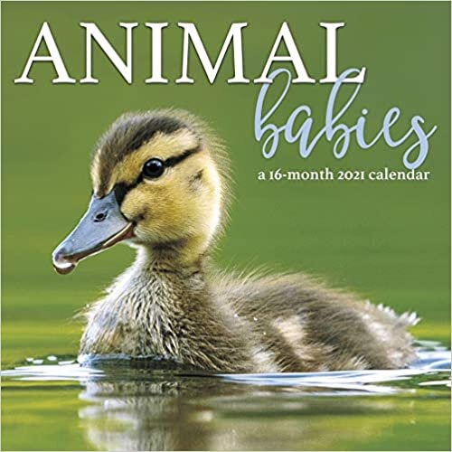 ダウンロード  Animal Babies Calendar 本