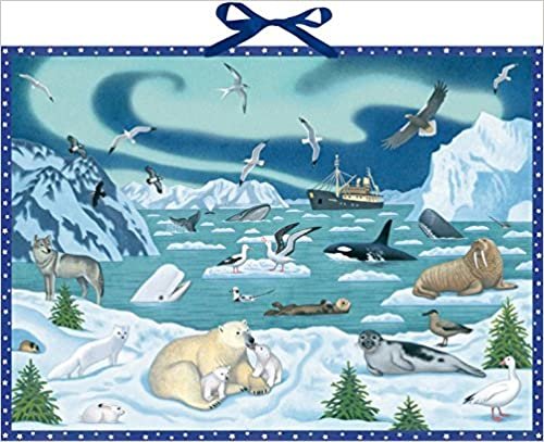 indir Wand-Adventskalender - Tiere der Arktis: Mit Infotexten zu den Tieren
