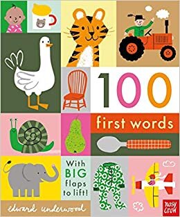 indir NC - 100 First Words