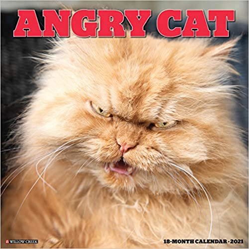 indir Angry Cat 2021 Calendar